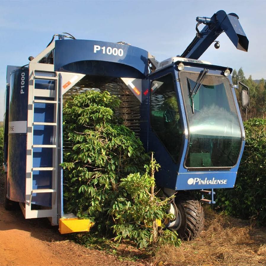 Pinhalense P1000 mechanically harvests cherries from coffee trees